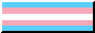 the trans flag